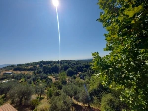 VENDITA IMMOBILE RIF. 18 SINALUNGA SI TOSCANA
